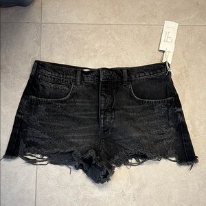 Pilcro black Distressed Women Shorts with rhinestones